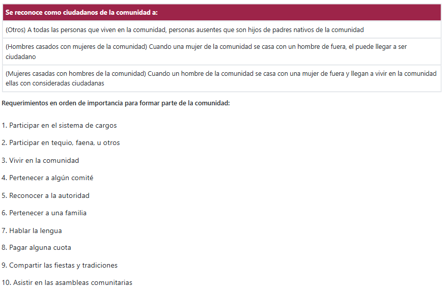 Político 4
